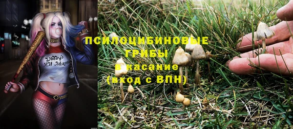 гашик Волосово