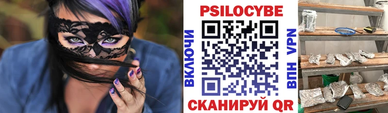 Галлюциногенные грибы Psilocybe  купить наркоту  Муром 