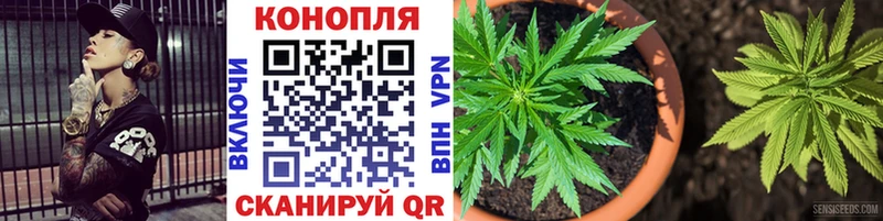 Бошки марихуана Ganja  как найти закладки  Муром 